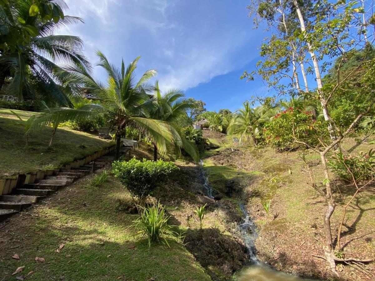 Finca Vela Lodge Bocas del Toro Eksteriør billede