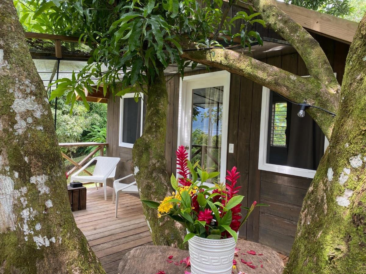 Finca Vela Lodge Bocas del Toro Eksteriør billede