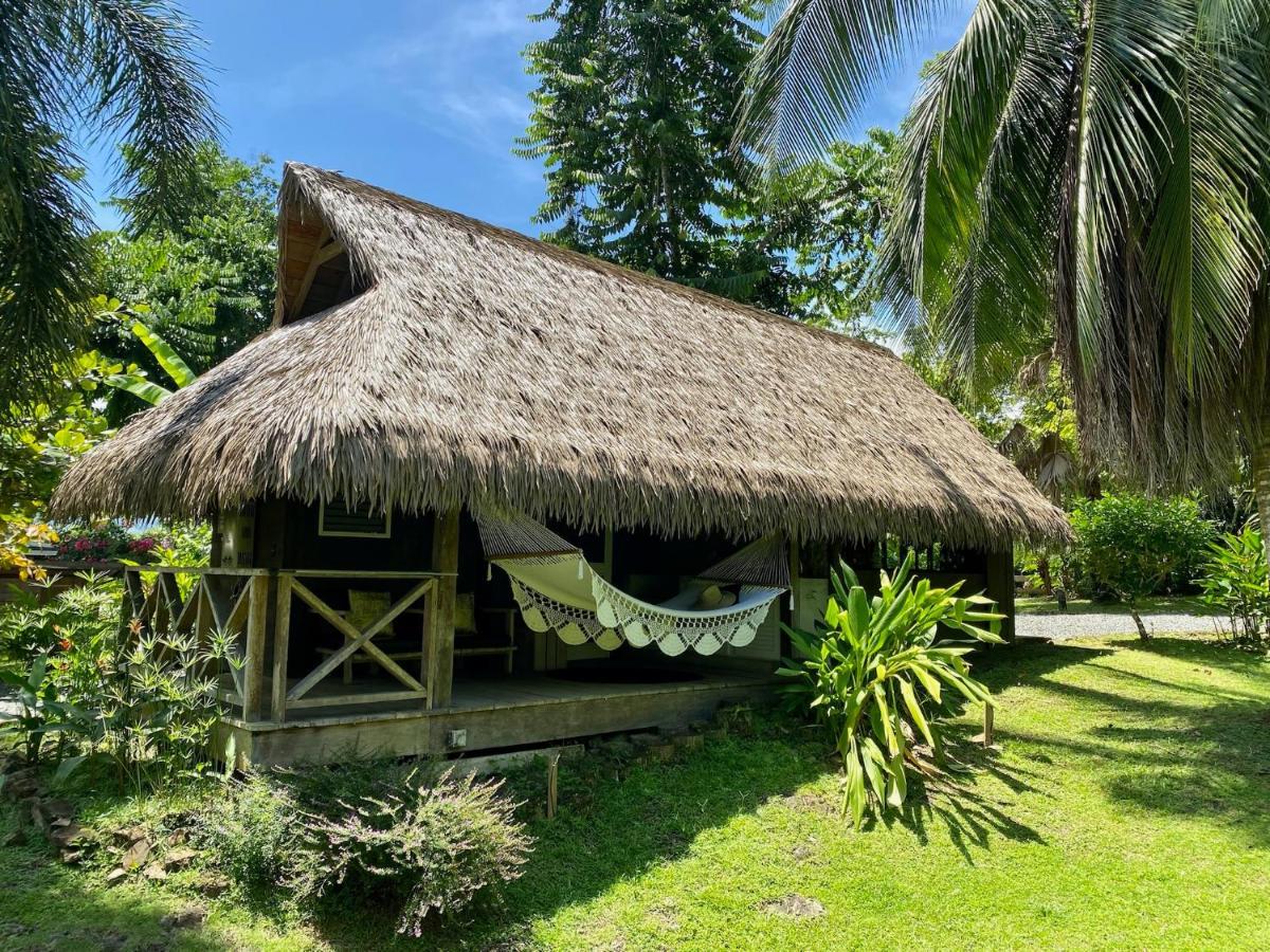 Finca Vela Lodge Bocas del Toro Eksteriør billede