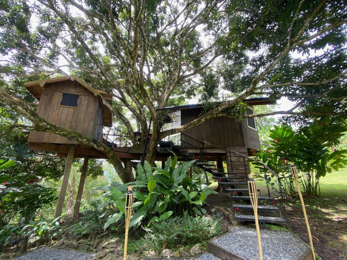 Finca Vela Lodge Bocas del Toro Eksteriør billede