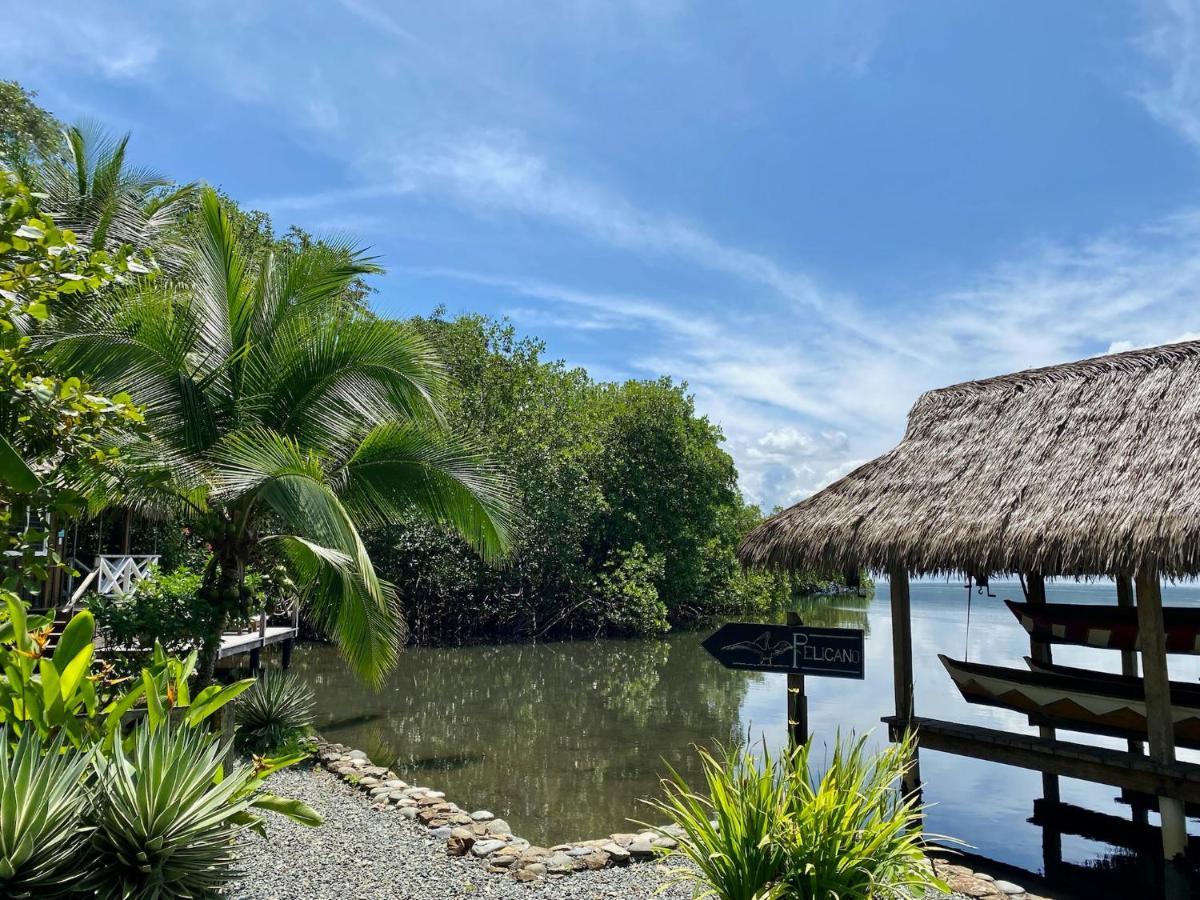 Finca Vela Lodge Bocas del Toro Eksteriør billede