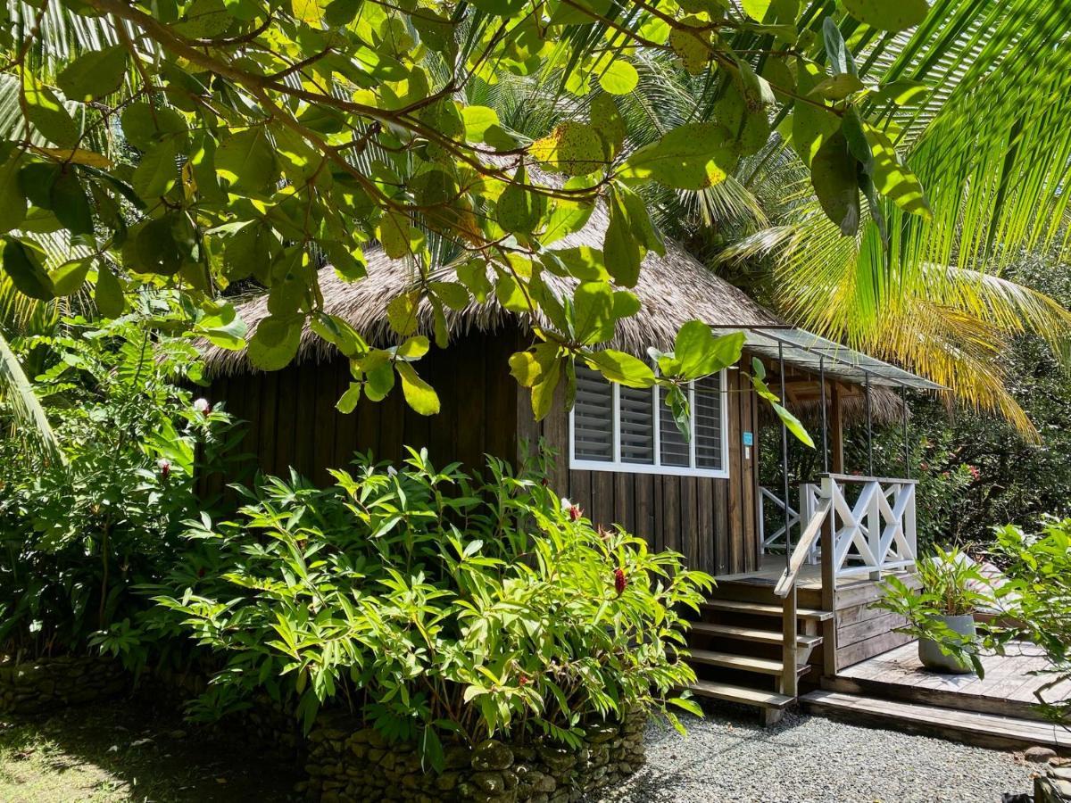Finca Vela Lodge Bocas del Toro Eksteriør billede