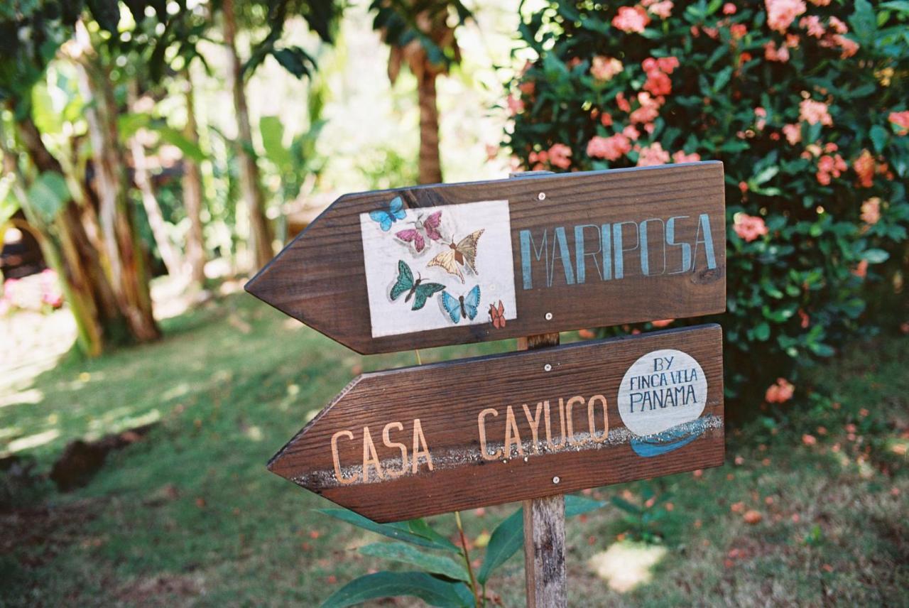 Finca Vela Lodge Bocas del Toro Eksteriør billede