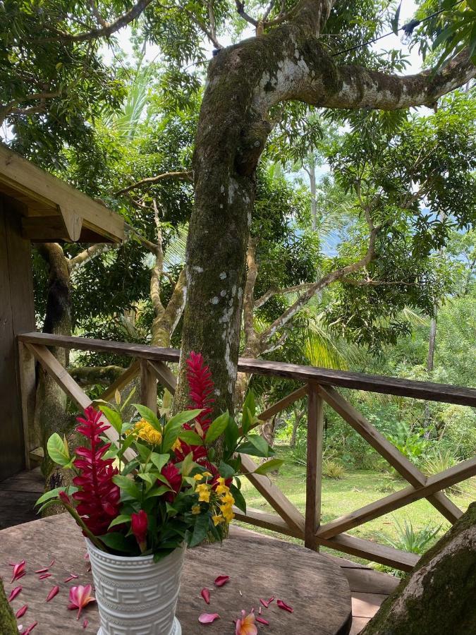 Finca Vela Lodge Bocas del Toro Eksteriør billede