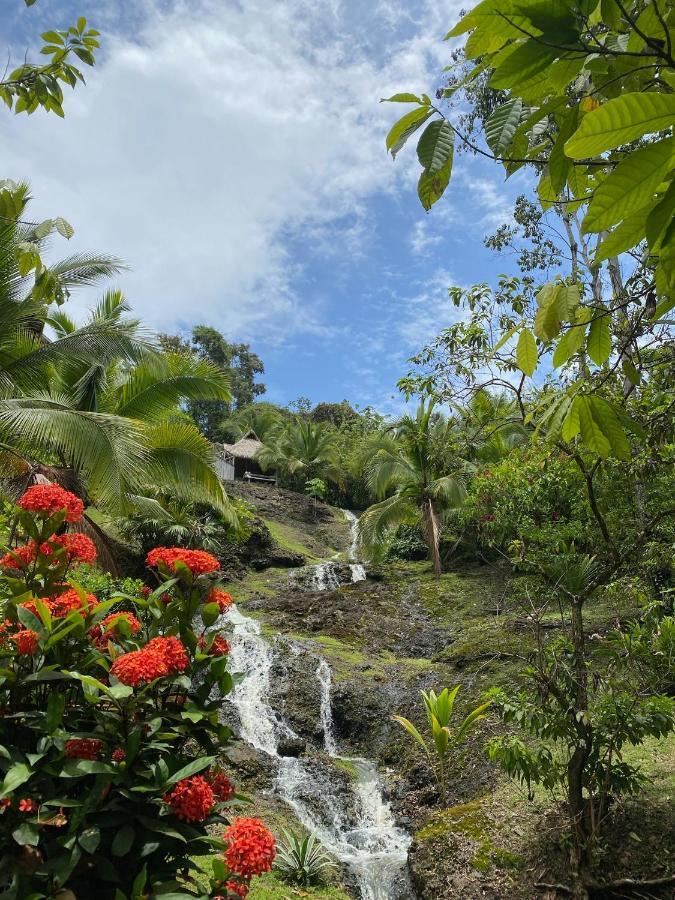 Finca Vela Lodge Bocas del Toro Eksteriør billede