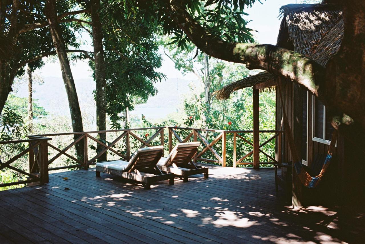 Finca Vela Lodge Bocas del Toro Eksteriør billede