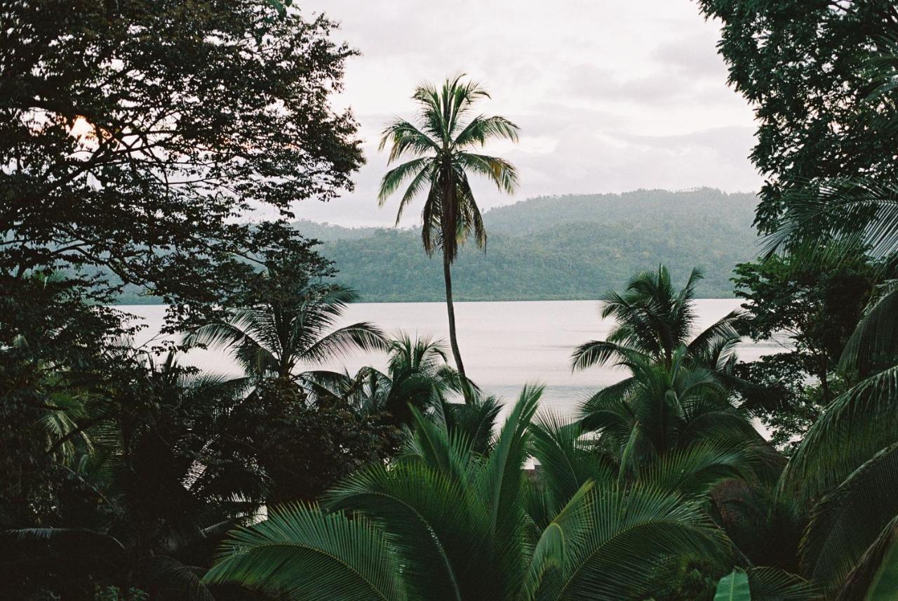 Finca Vela Lodge Bocas del Toro Eksteriør billede