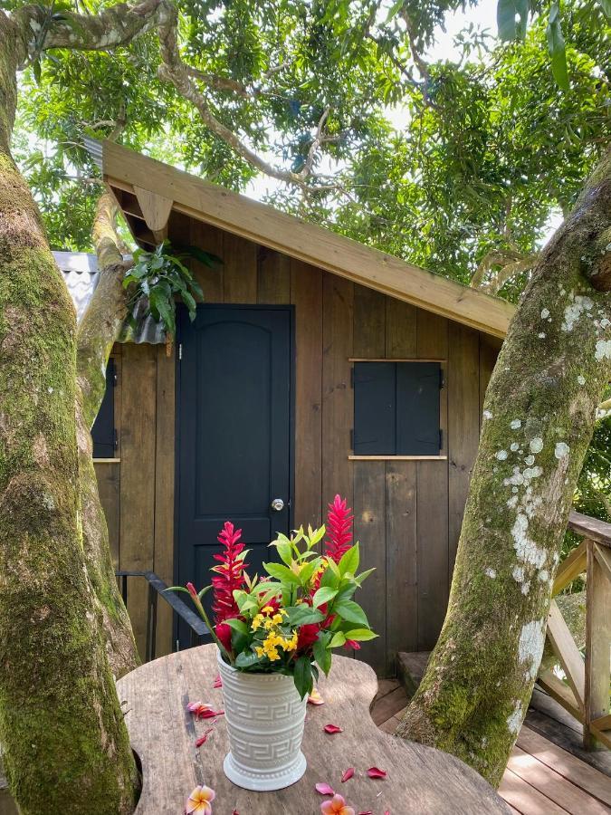 Finca Vela Lodge Bocas del Toro Eksteriør billede