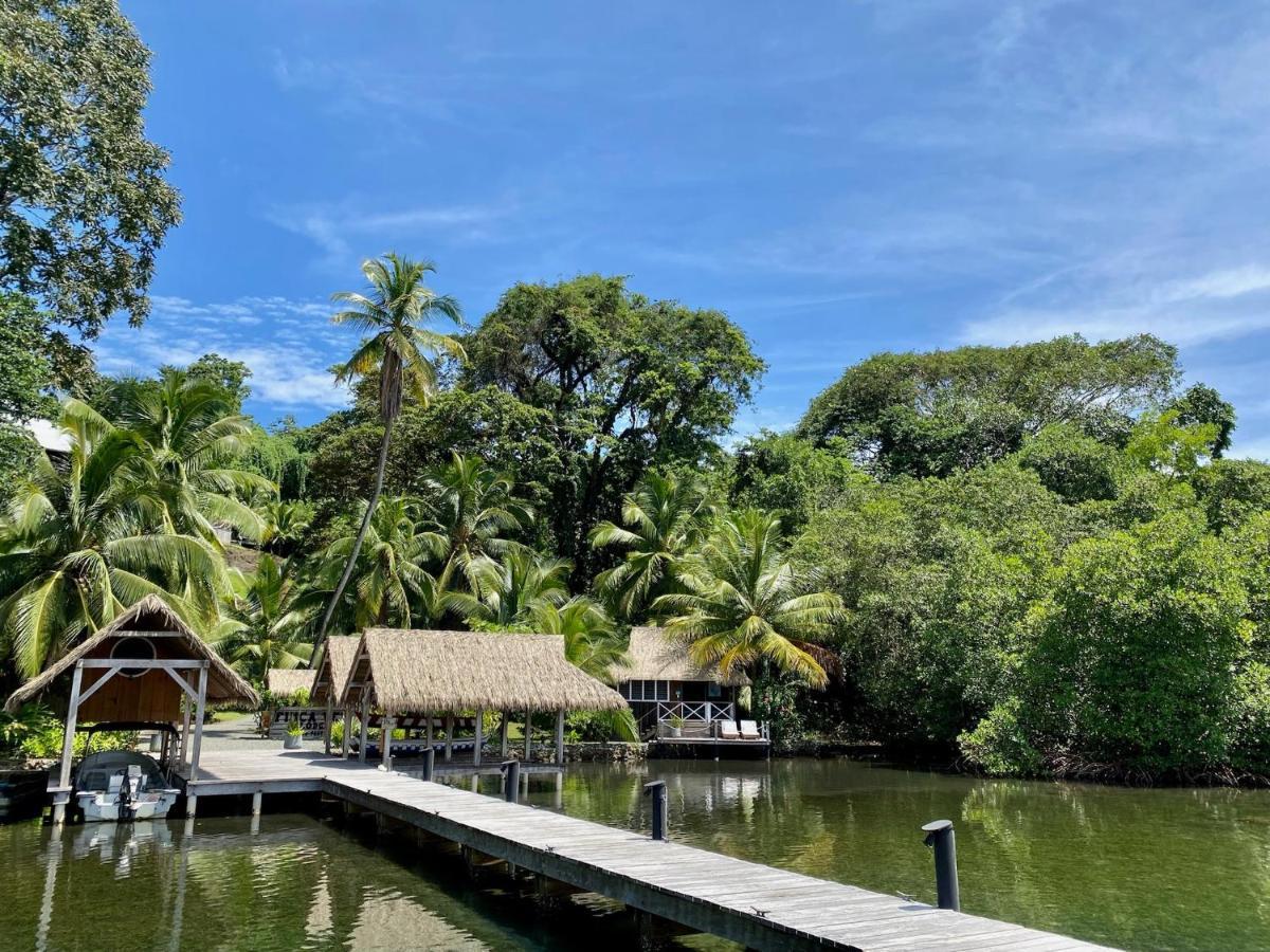 Finca Vela Lodge Bocas del Toro Eksteriør billede
