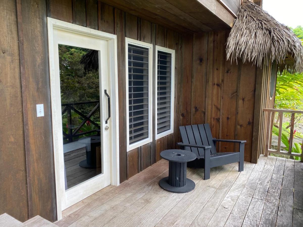 Finca Vela Lodge Bocas del Toro Eksteriør billede